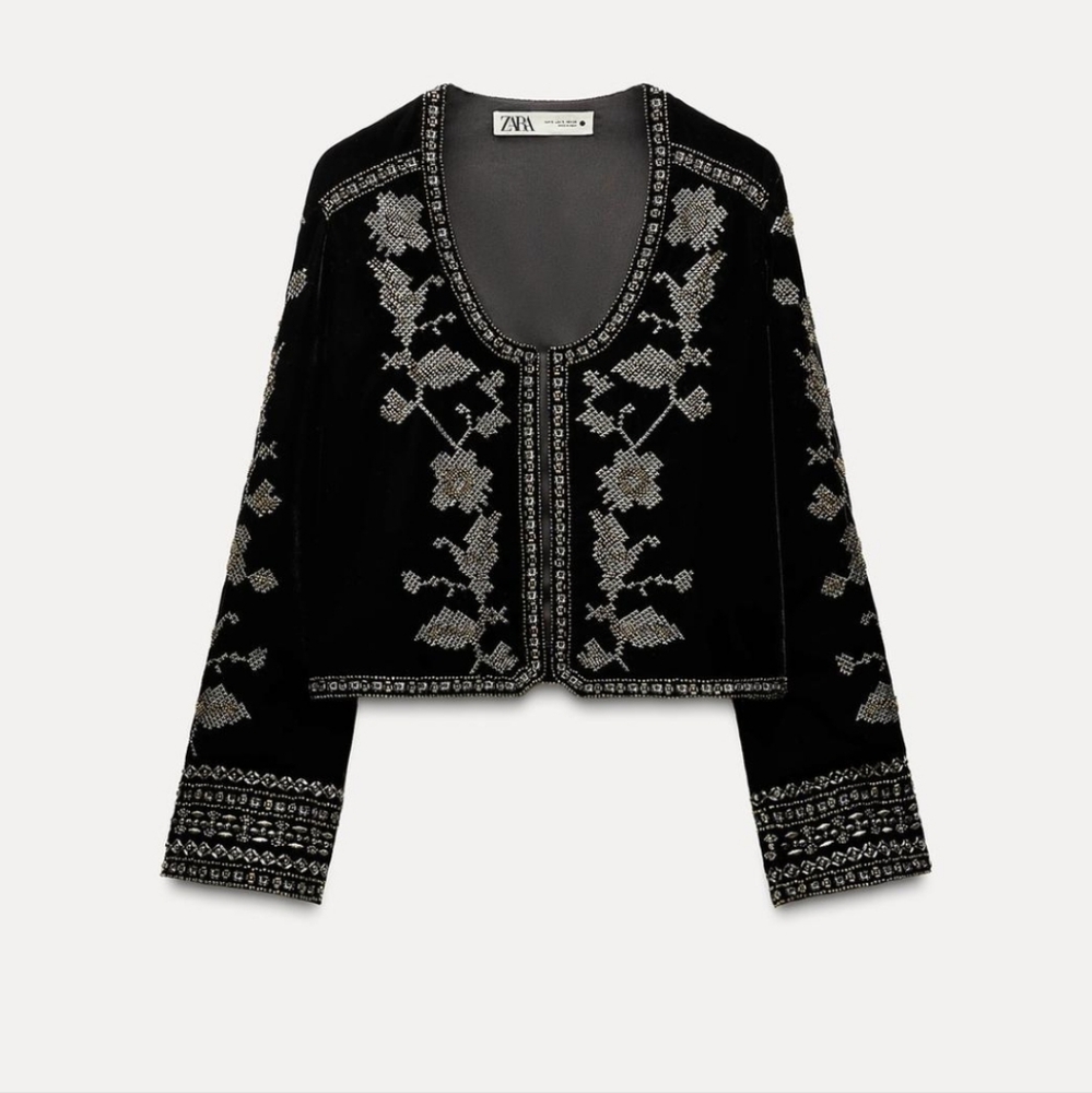 BNWT! Zara Embroidered velvet jacket